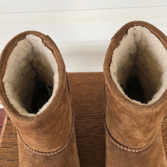 Brown Bearpaw - Picture 4 of 5